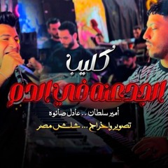 الجدعنه في الدم ( عندنا أصل وعزة نفس ) أمير سلطان - فيديو كليب | شلش مصر - جديد وحصري 2024