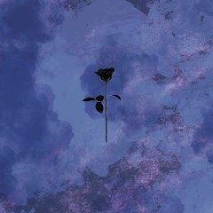 PREMIERE: Lexer - Kage (Original Mix) [Black Rose]