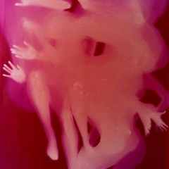 DJ Set: The Church 2025