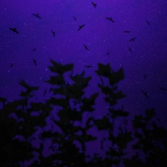 Moth to a Flame - SHM & The Weeknd (Ana Whiterose Cover) | MAYKO Remix