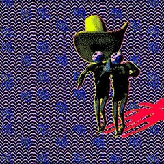 Paint on the Wall (a seagull screams)