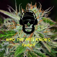 Ep. 102: The Biggest Gang