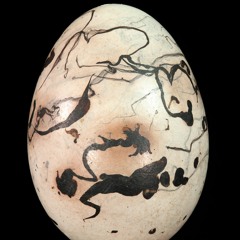 Egg of a Great-Tailed Grackle: James Prosek