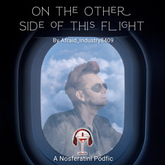 On The Other Side Of This Flight