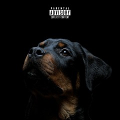 Bahamas Promises (Remyx)