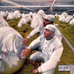 Galaxy (feat. Sportvvs & Anubis)