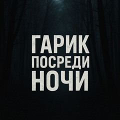 Гарик Посреди Ночи