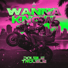 Double Trouble - Wanna Know