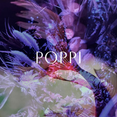 comi - poppi