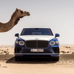 انا بـدوي ولـد بـدوي🦅