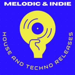 Friday 1-17 Melodic & Indie Dance