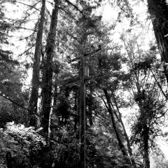 Clarity - rob x bnyx