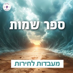שמות פרק ח' פס' 16 עד פרק ט' פס' 12: מכות הערוב, הדבר והשחין - 22.3.2025
