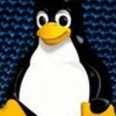 Kernel Dreams & Terminal Schemes Freek Banning  (b-side)