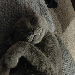 I Feel Alive When I'm Lost In Your Eyes