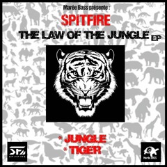 Spitfire - Jungle  (The Law Of The Jungle Ep)