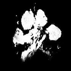 Coming Up Roses - "In Heaven Everything Is Fine" (Prod by remvmber when)