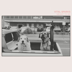 Indie (Vital Sparks/Last Days Of Elvis)