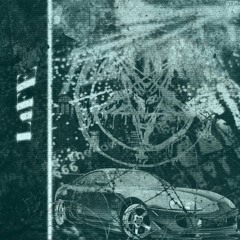 L1FE