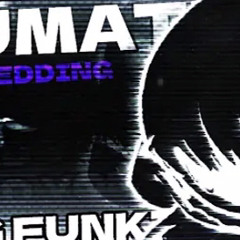 TRAUMATIZED (Scrapped Song) | Analog Funkin' OST