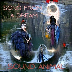 Song From A Dream