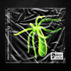 Enkrypt - Hydra