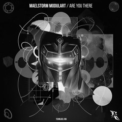 Maelstorm Modulart - Are you There (Original Mix)