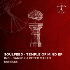 Soulfeed - Temple Of Mind (Original Mix)