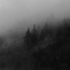 All Is Lost... - Endless Sorrow (DSBM)