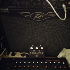 Fuzzlord Pedals And Smashed Peavey