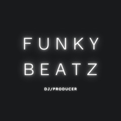 I Like It (Funky Beatz Remix)