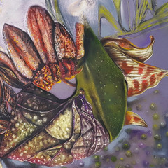 Triola - 02 - Phantom Waltz