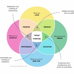 IKIGAI - Mission