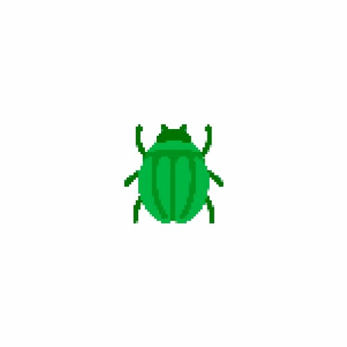 Coleoptera