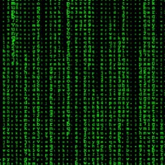 Secrets Of The Matrix