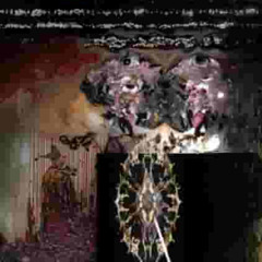 pƎ∀p_⊥ƎWԀ˥Ǝ