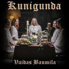 Vaidas Baumila - Kunigunda (DJ APL Remix)