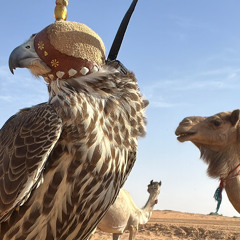 لو تقتحمني عاصفه