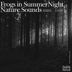 Frogs in Summer Night Nature Sounds, Pt. 1