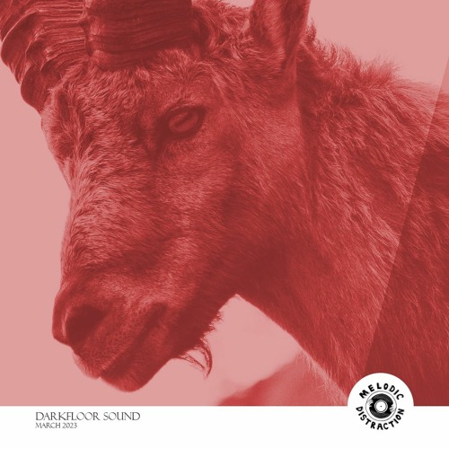 Melodic Distraction - March 2023