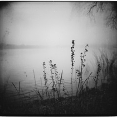 no hay respuesta / el amor es la respuesta