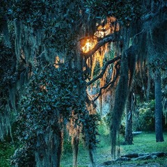 Dear Old Sun- -I Still See the Light! (Miranda Cover)