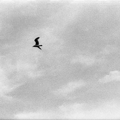 In The Sky (Demo)