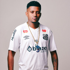 VEM FUDER NA LINHA - VERSÃO 2025  - DJ DENILSON O CLÍNICO, MCS MAUI & ROSE
