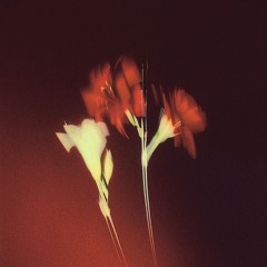 I know（prod.ymxk）