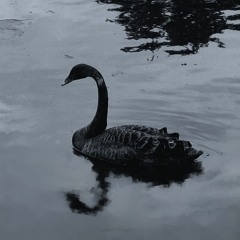 CyGnE nOiR