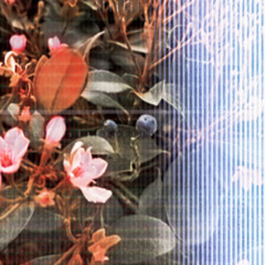 Weird Beat 2 Trauma Dump On