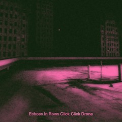Echoes In Rows - 'Zone Zone'