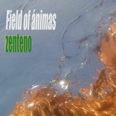 Field of ánimas