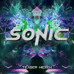 Sonic-Teaser-Nexen [211]